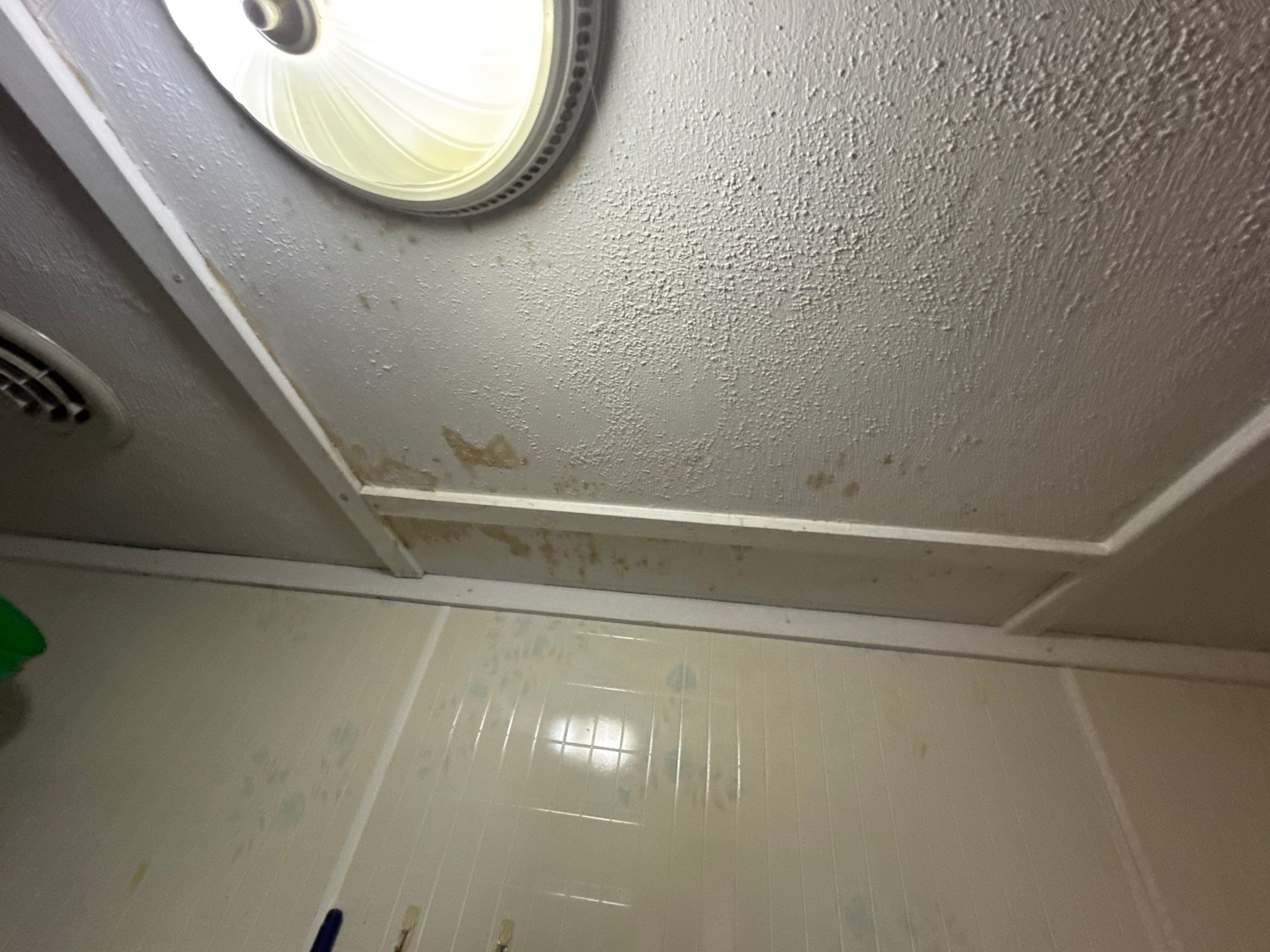 Cloud Nine Roofing and Renovation featured photo.