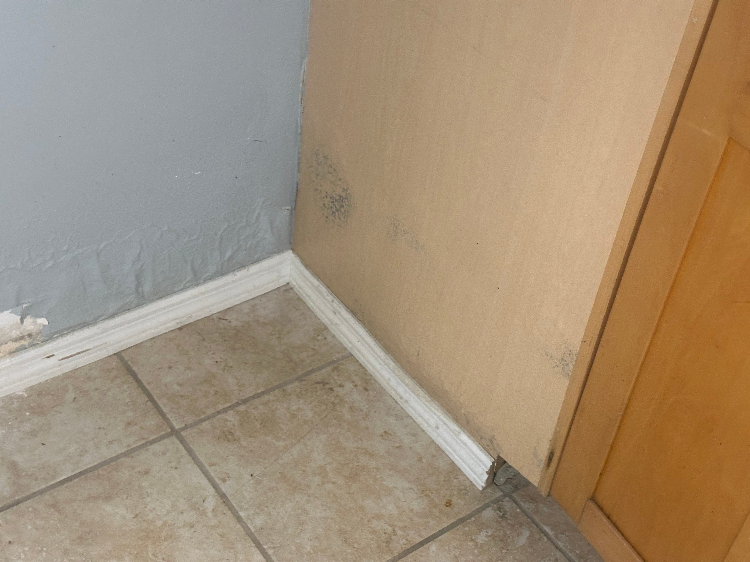 Water Damage Claim in Treasure Island by FLAPA & KeyStone