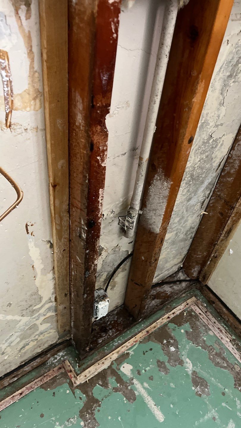 Mold Remediation by Accountable Home Services