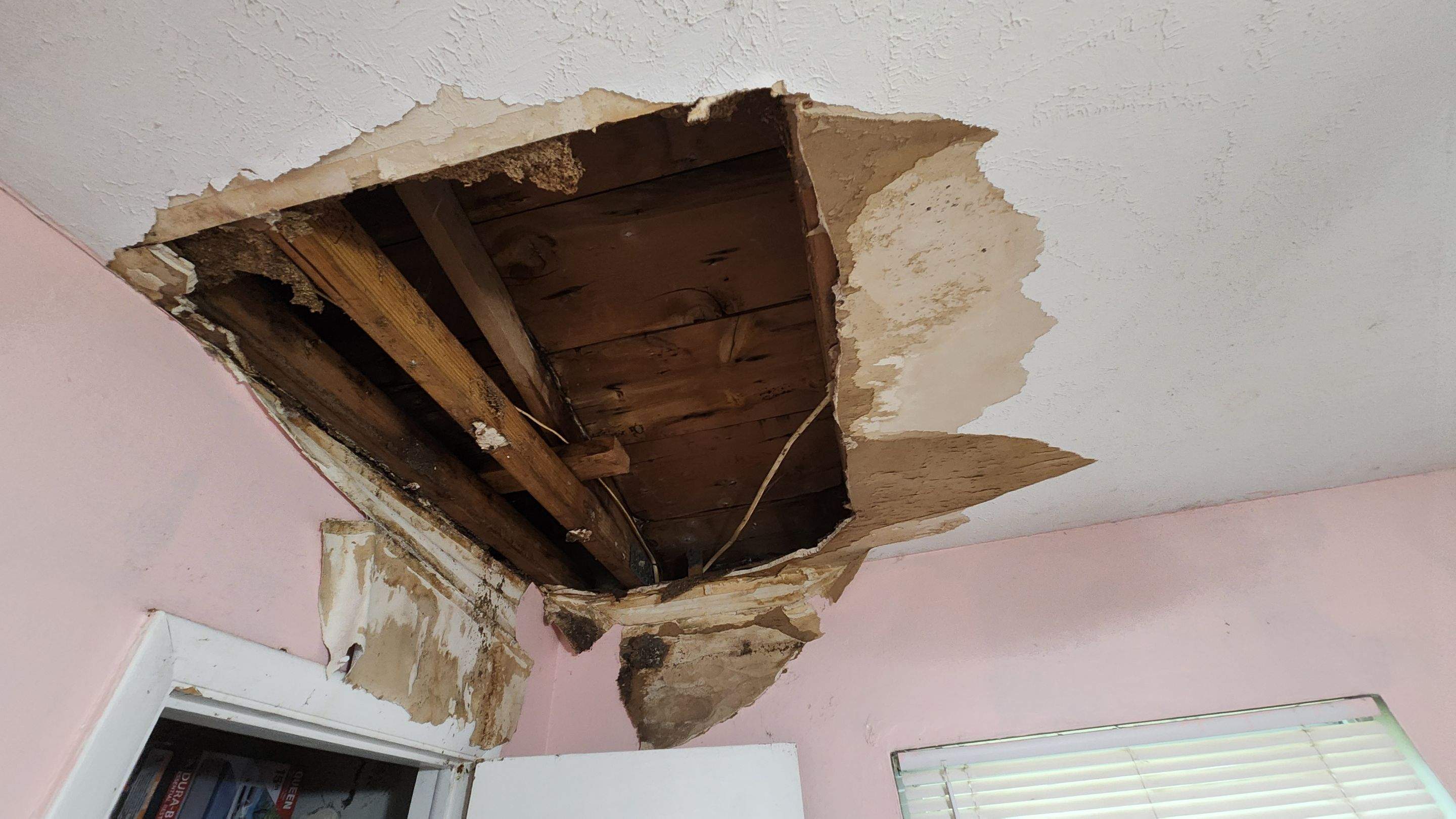 Tree Damage Claim in Orlando by FLAPA & KeyStone