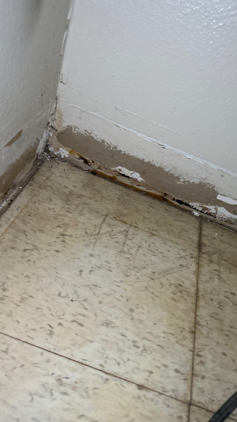 Mold Remediation by Accountable Home Services