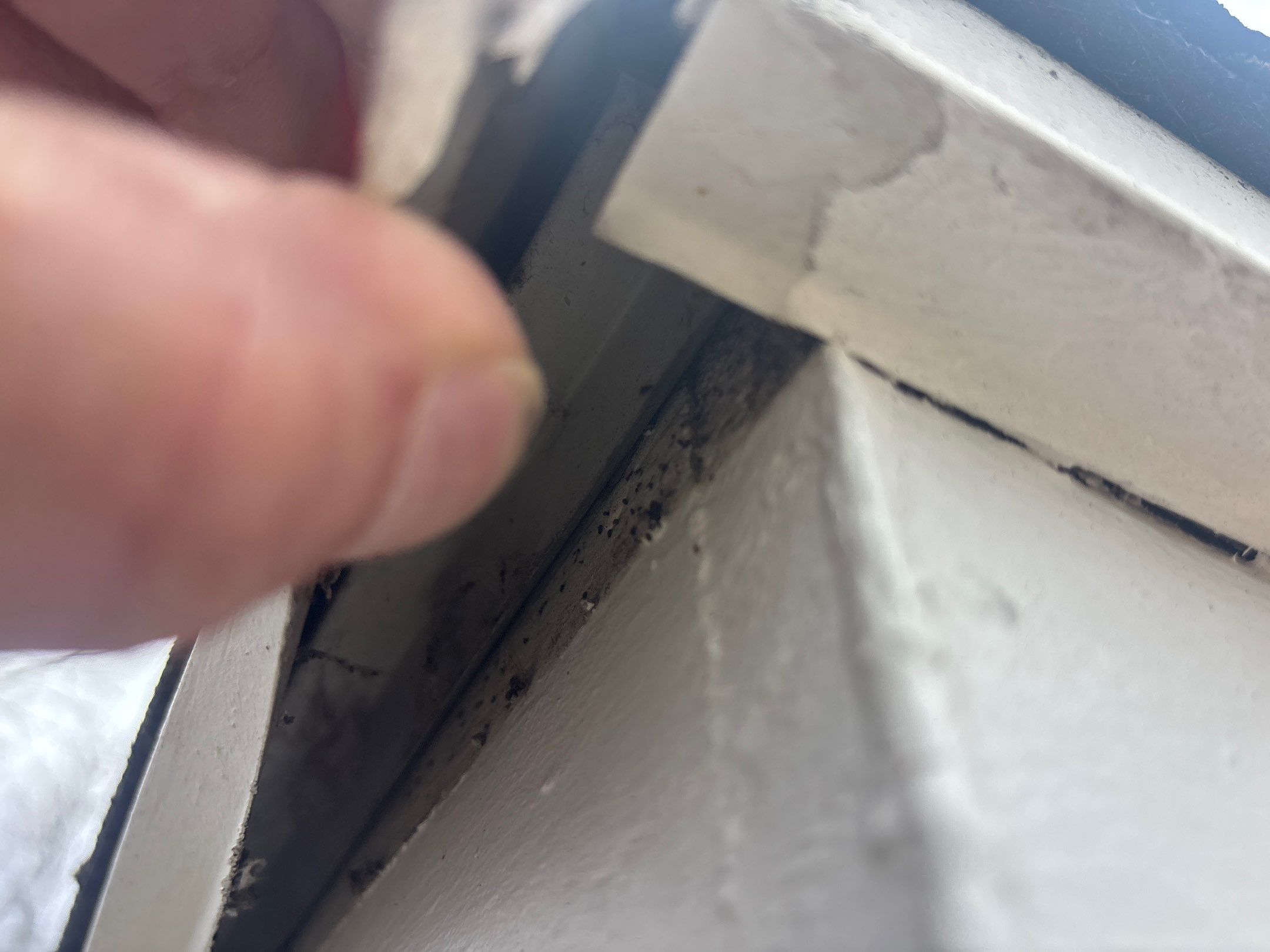 Roof Replacement using Owens Corning Estate Gray by 180 Contractors