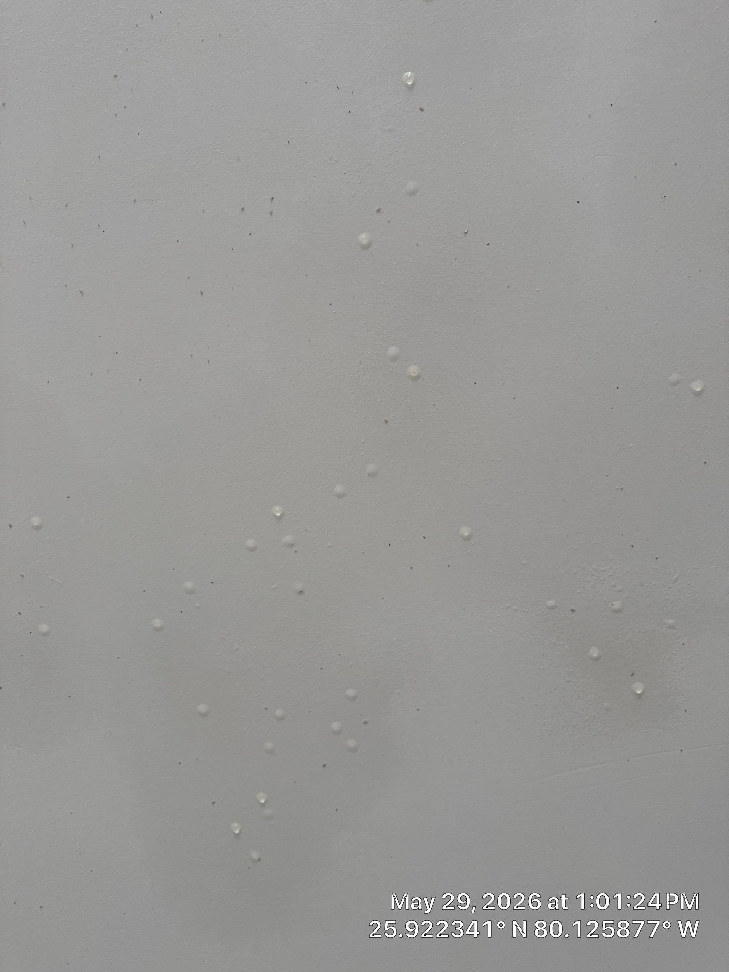 Mold Remediation and Water Damage Assessment in Sunny Isles Beach by SuperClean
