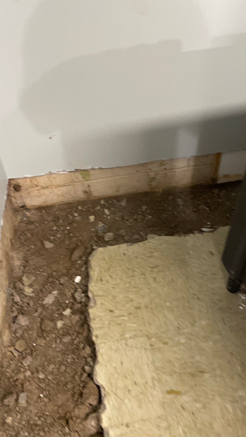 Waterproofing for our neighbor Heather by Waterproofing Northeast