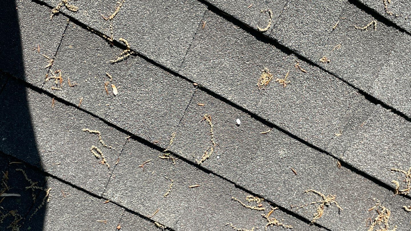 Springfield CertainTeed Landmark Weathered Wood Roof Installation by RM Banning, Inc.