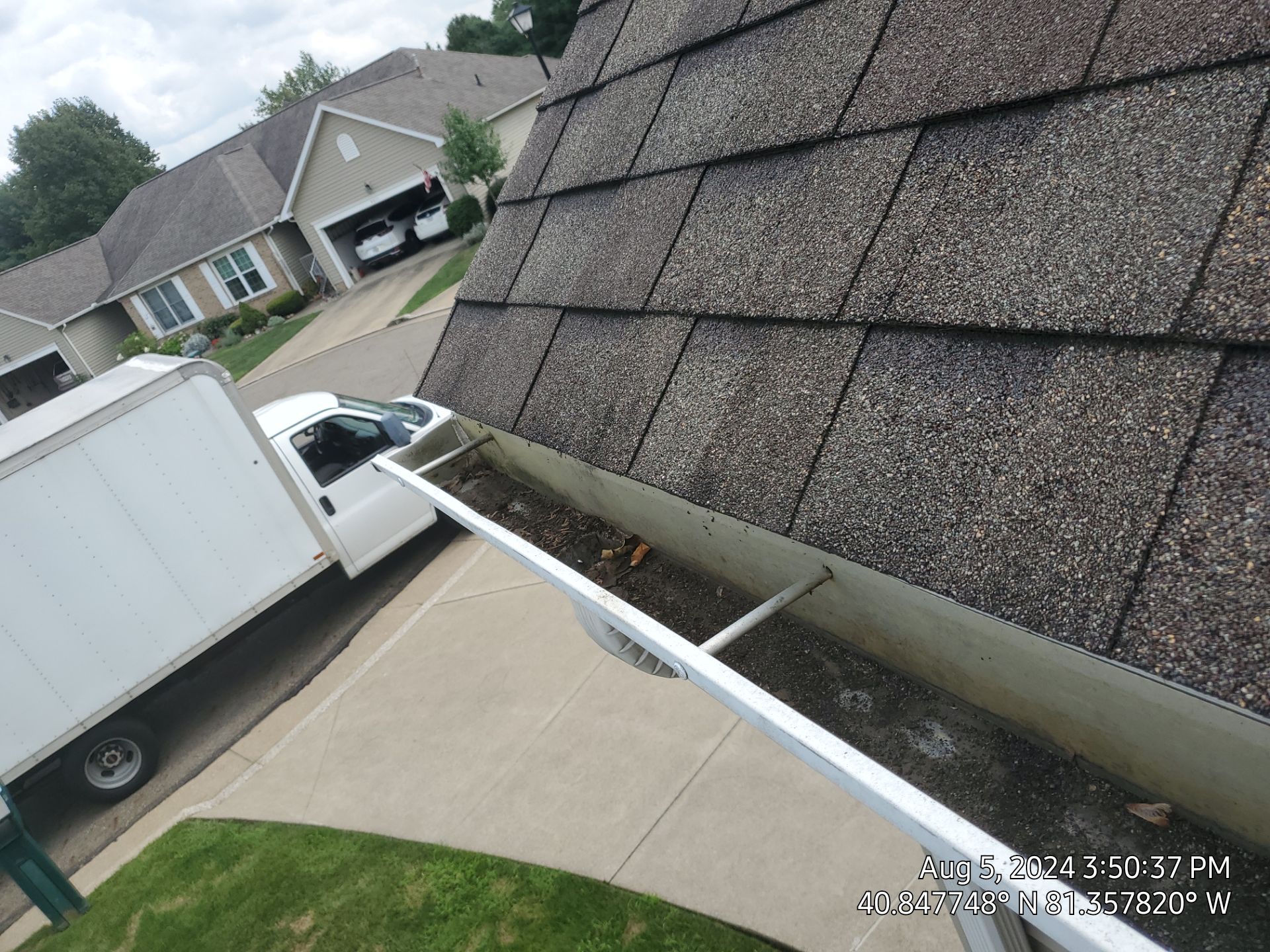 Rae Looby by Silver Leaf Contracting 