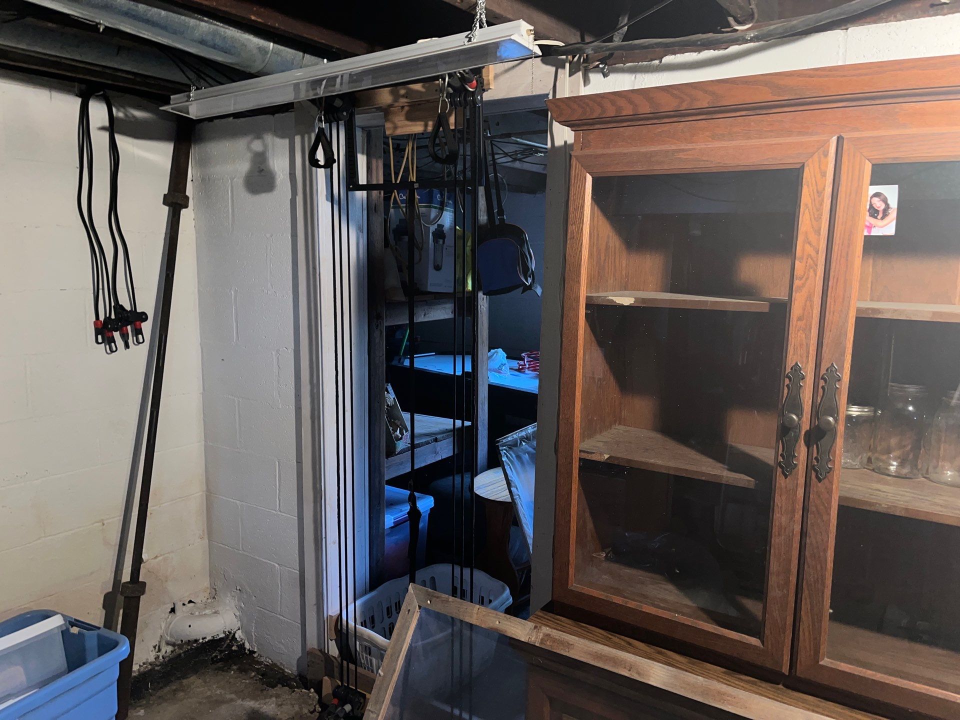 Comprehensive Basement Mold Remediation and Moisture Control in New Cumberland by Home Environment Solutions