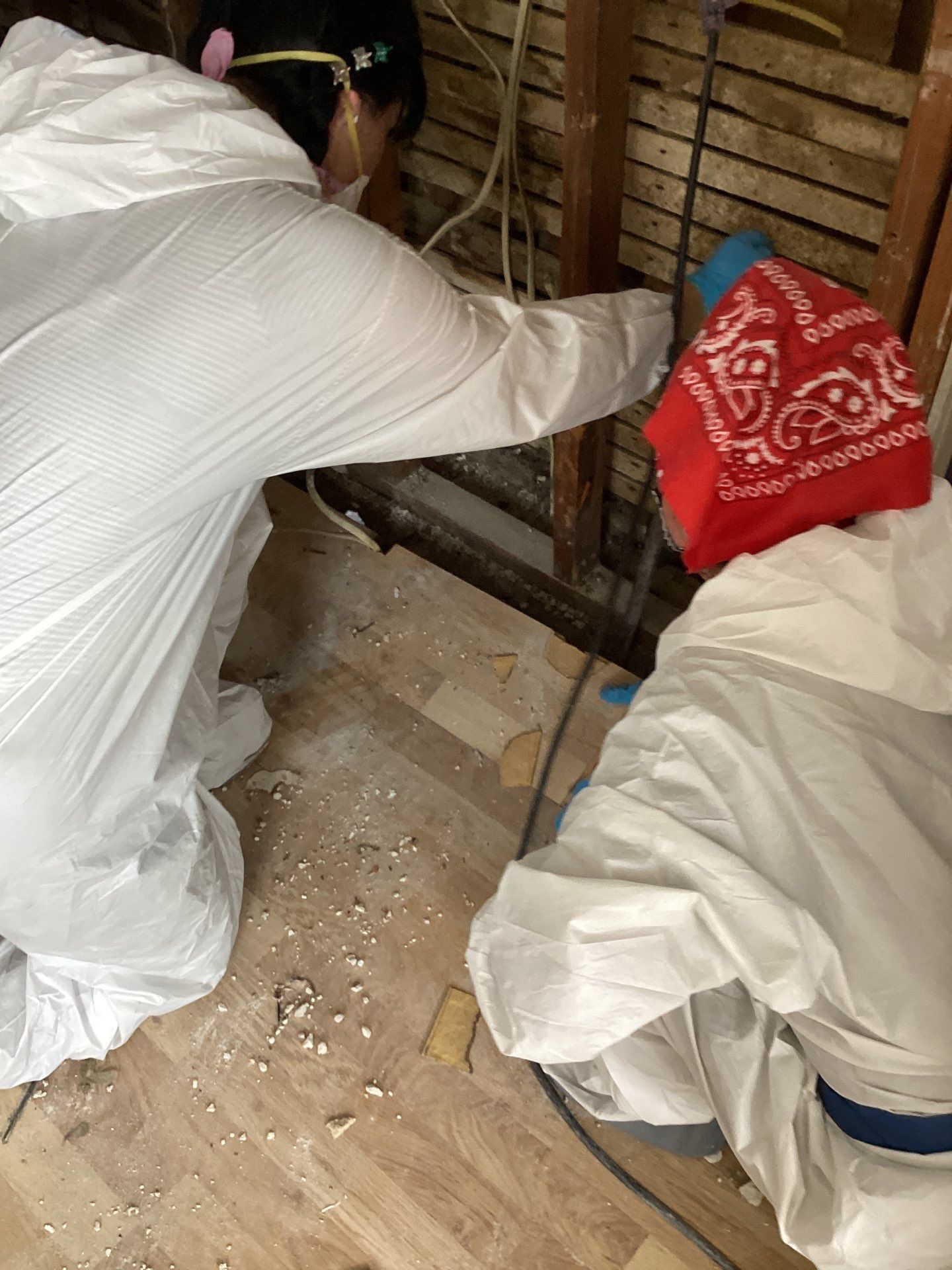 Comprehensive Mold Remediation and Kitchen Restoration in East Islip by Newhouse Restoration