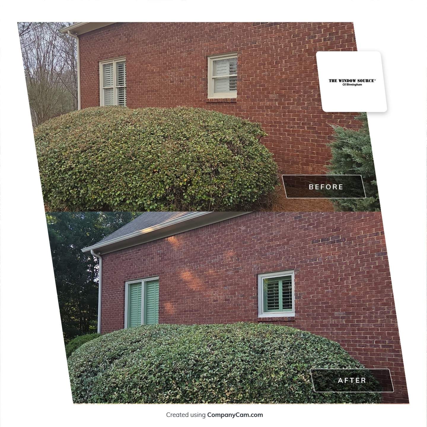 Zwiebel Project in Hoover by The Window Source