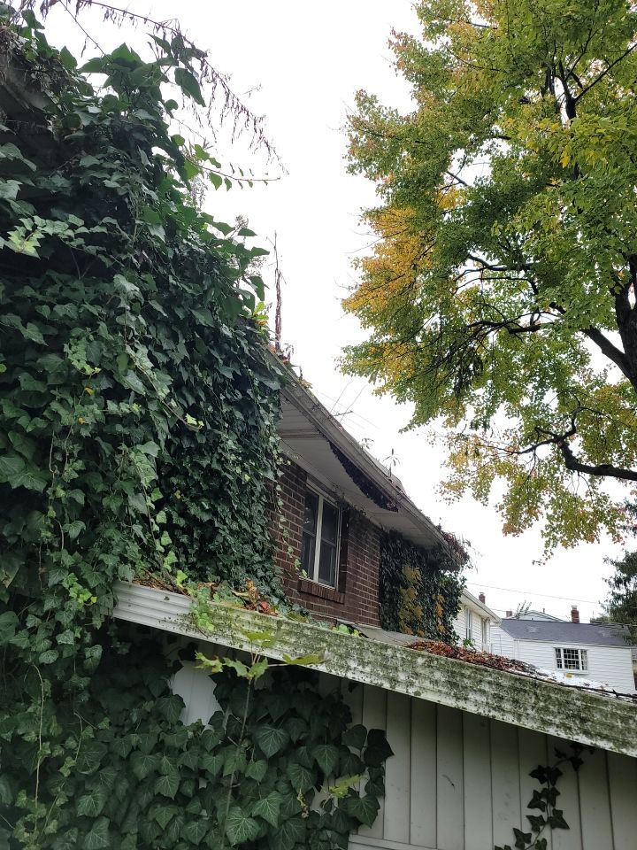 Brand: Atlas Pinnacle Color: Pristine Black by Eagle Eye Roofing