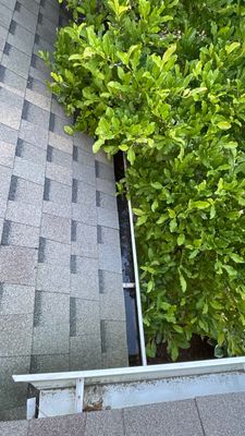 Why Newark Gutters Clog and Ice Up