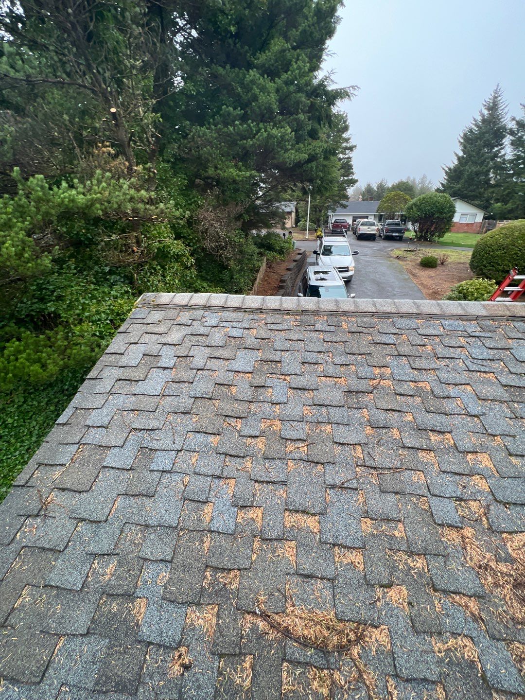 Residential Roofing Installation using Malarkey Highlander with GAF 60mil TPO by Orezona Building & Roofing Company, Inc.