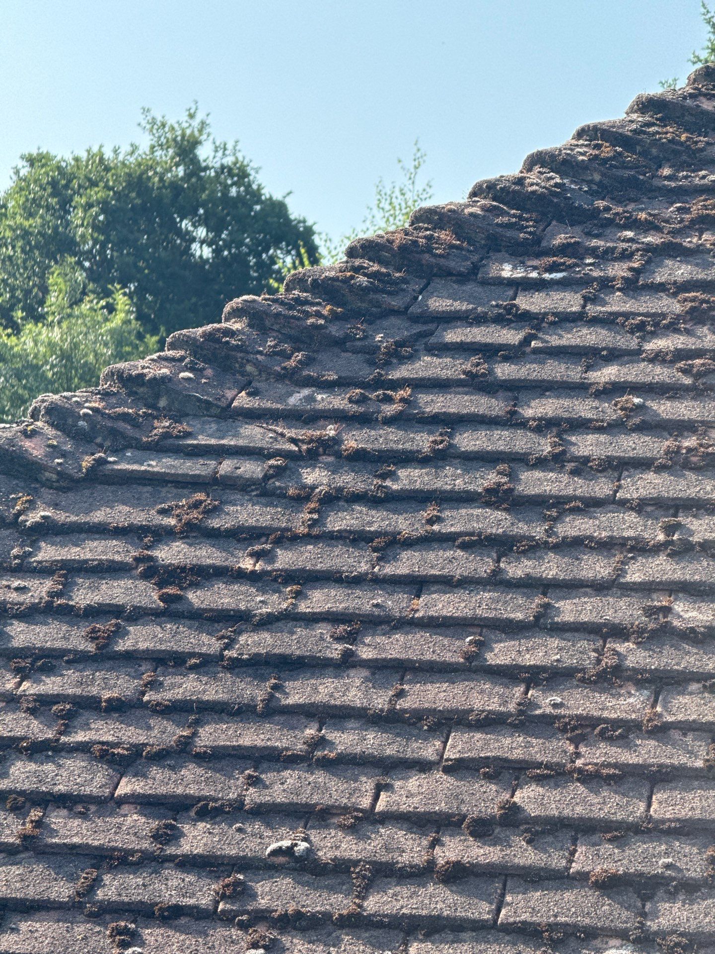 Roof Clean - Gutter Clean - Biocide Treatment by Ges Exterior Cleaning ltd