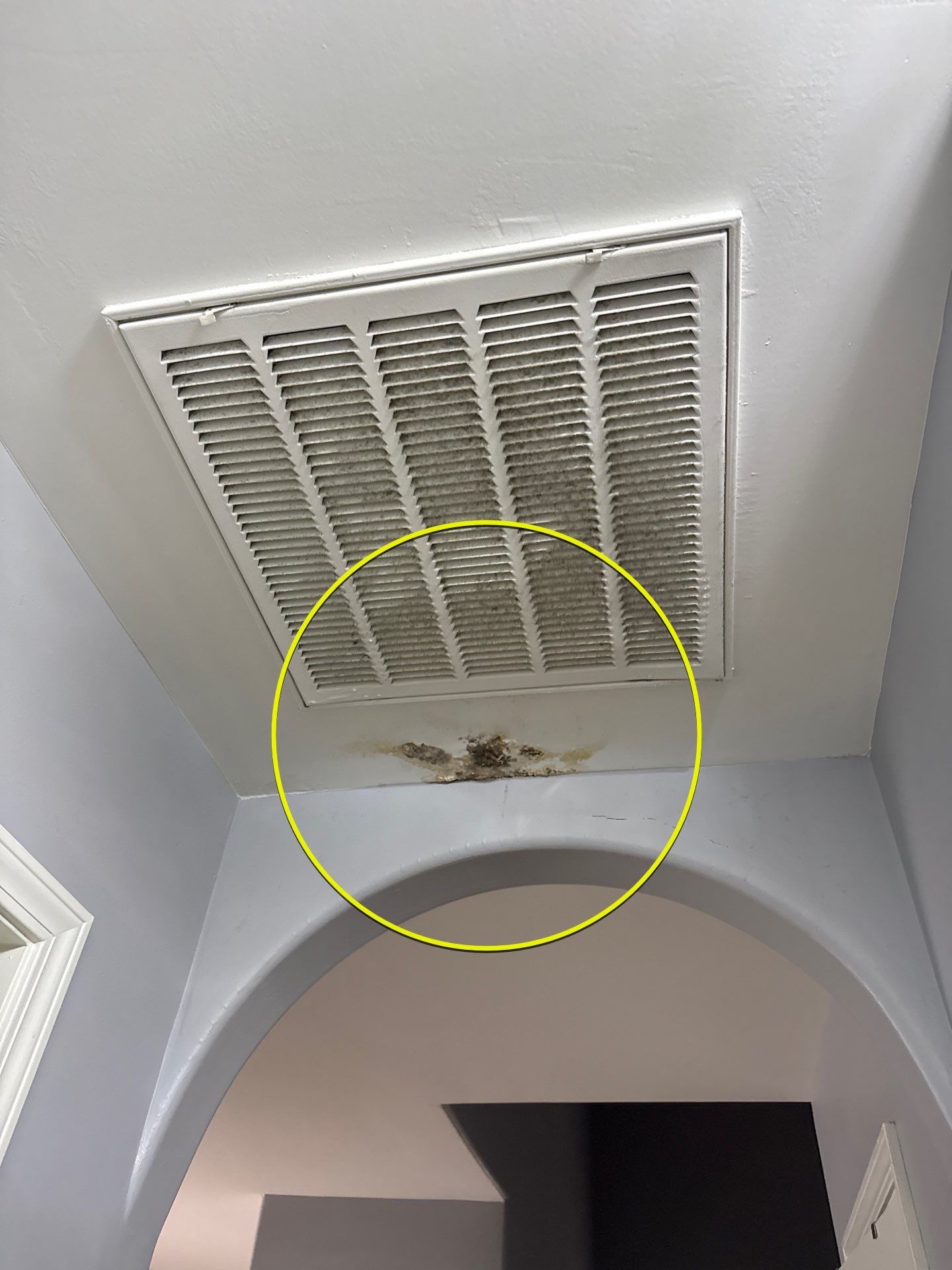 Roof replacement and interior repair by hail and wind damage by Just Brilliant Restoration JBR
