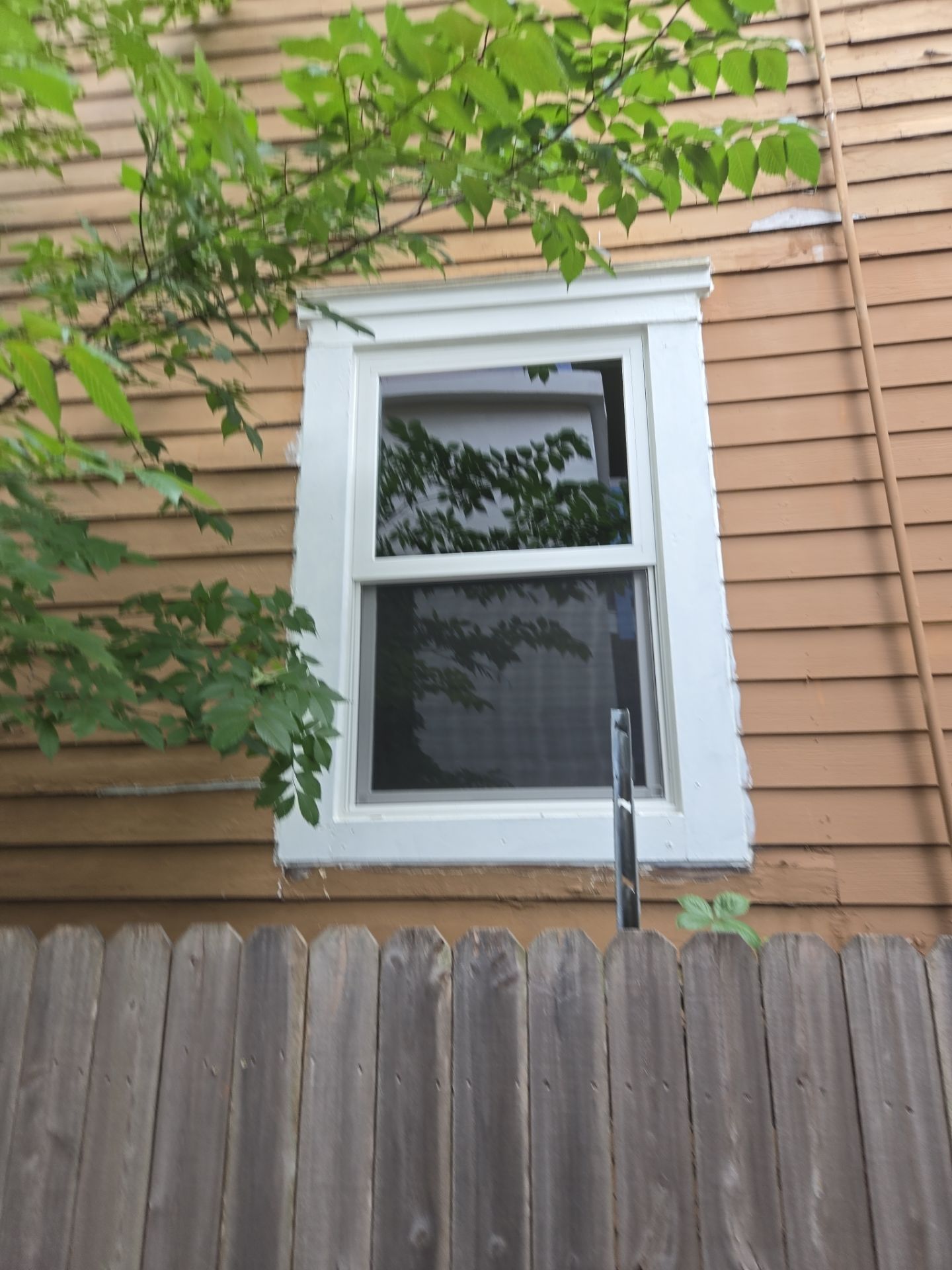 Whole-Home Andersen Window Replacement and Rot Repair in Jacksonville by Windows & Doors Store