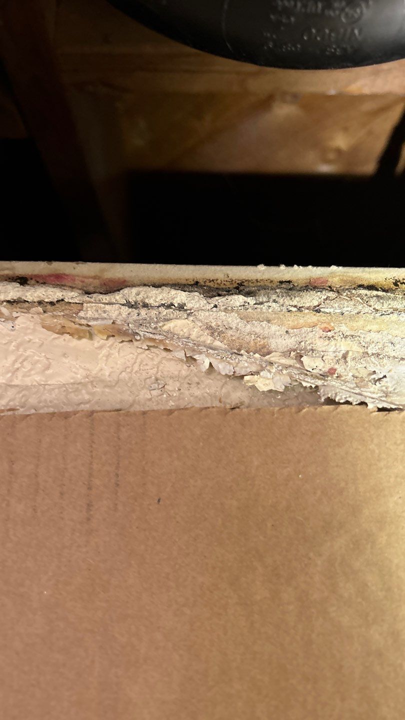 Mold Damage Project in Lakewood by Accountable Home Services