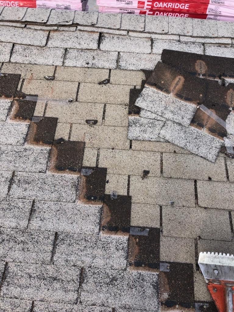 Lacey's Full Re-roof by All Storm Roofing & Construction