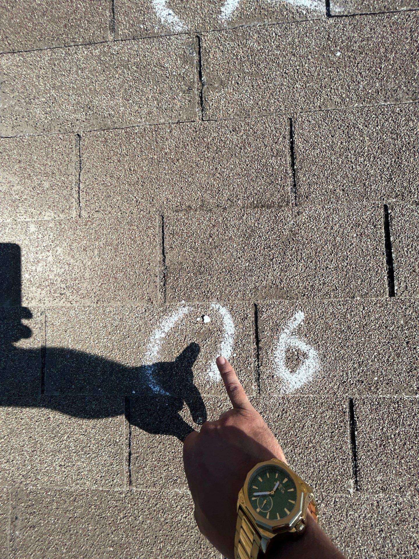 Miss Bridgette by REPS OF TEXAS