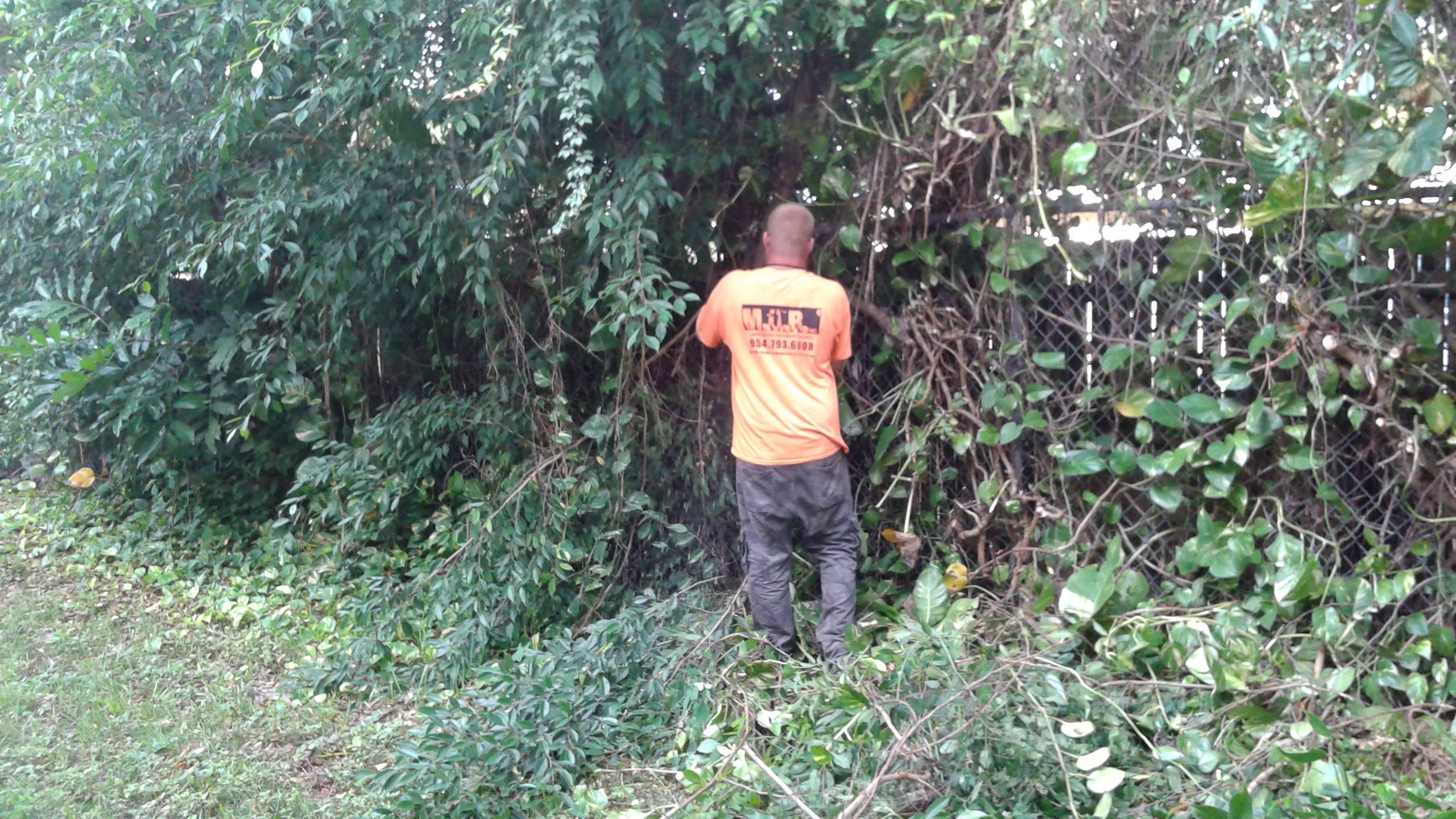 General Maintenance by 
M.A.B. Landscaping & Property Maintenance