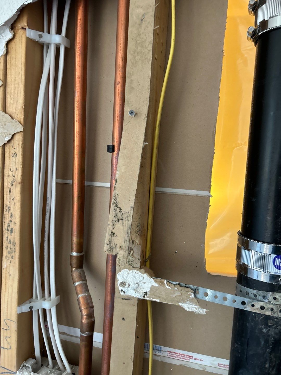 Mold Remediation by Accountable Home Services