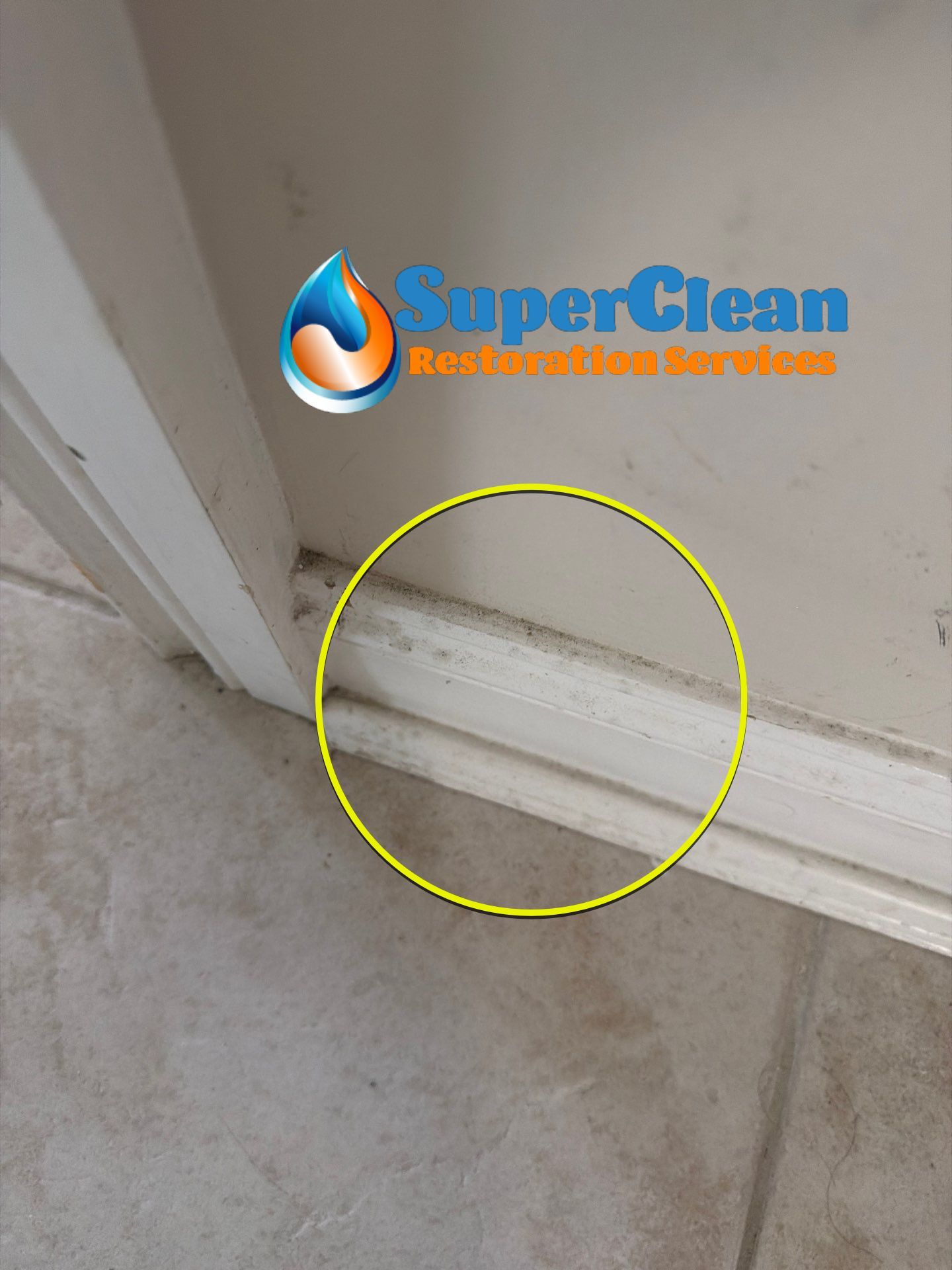 Residential Mold Remediation and Interior Moisture Damage Assessment in Palm Beach by SuperClean