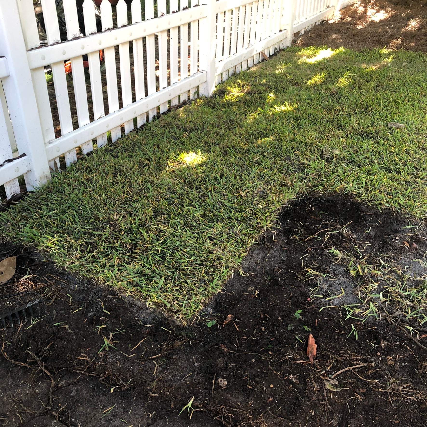 Extreme Clean Up - Landscape Install | Residential by ProGreen Services