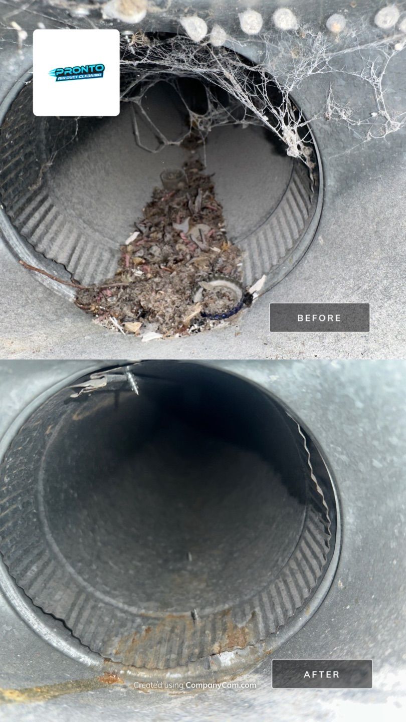 Air Duct + Dryer Duct Cleaning  by Pronto Air Duct Cleaning