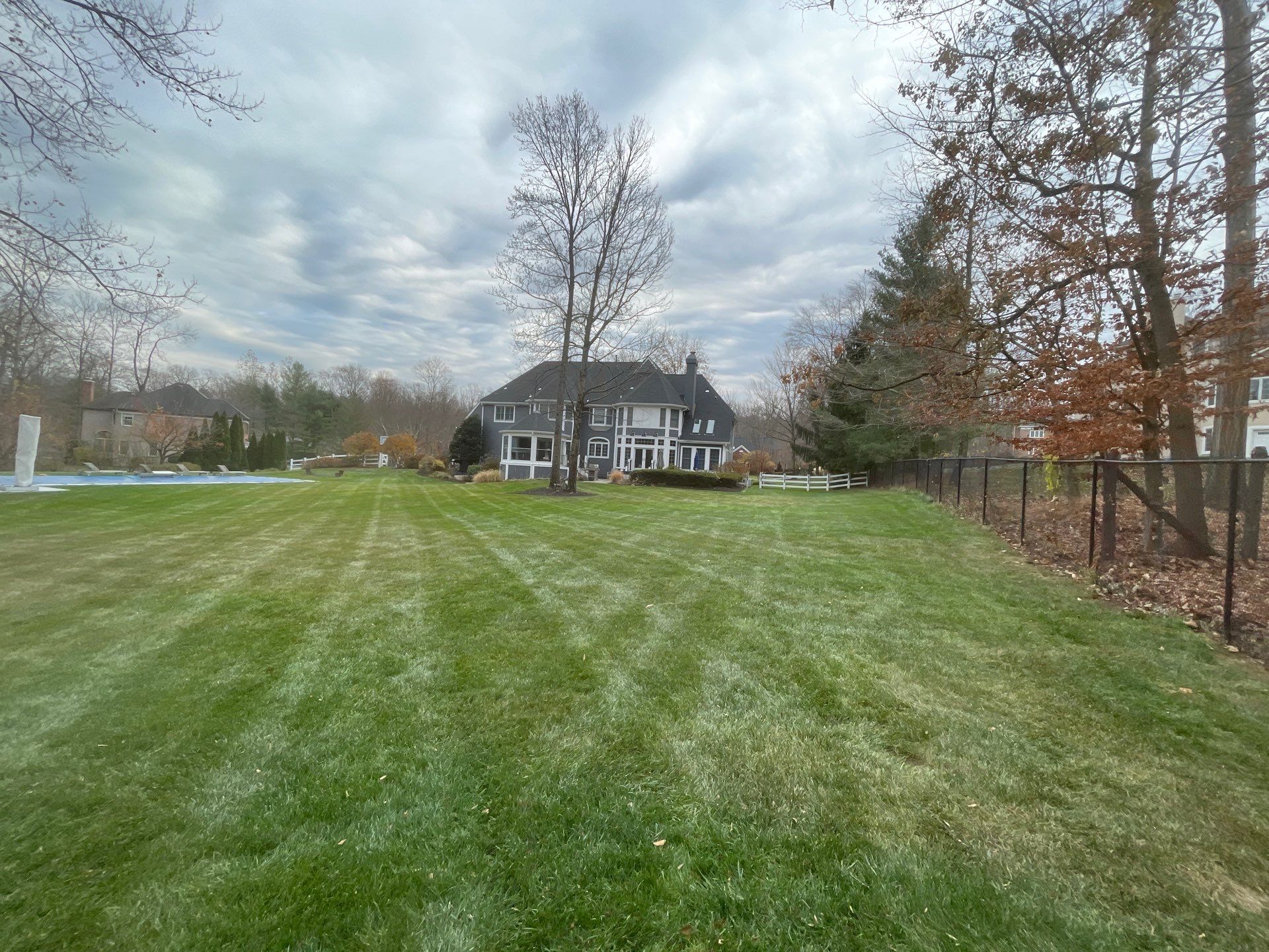 Comprehensive Lawn Care in Warren by Ants Plants