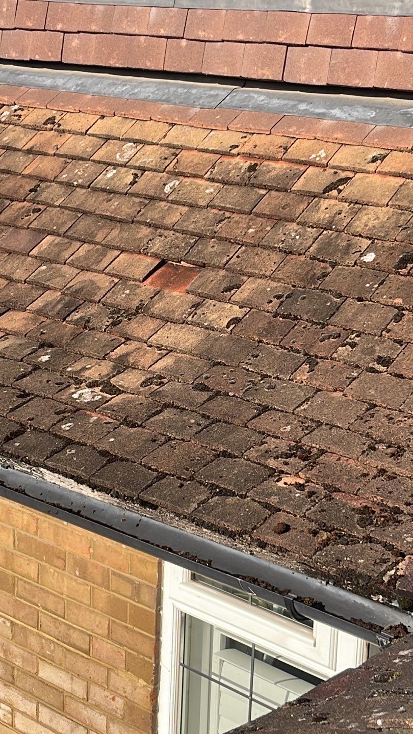 Exterior Clean - Roof - Patio - Driveway using Honda 15lpm Low Pressure Washing Machine by Ges Exterior Cleaning ltd