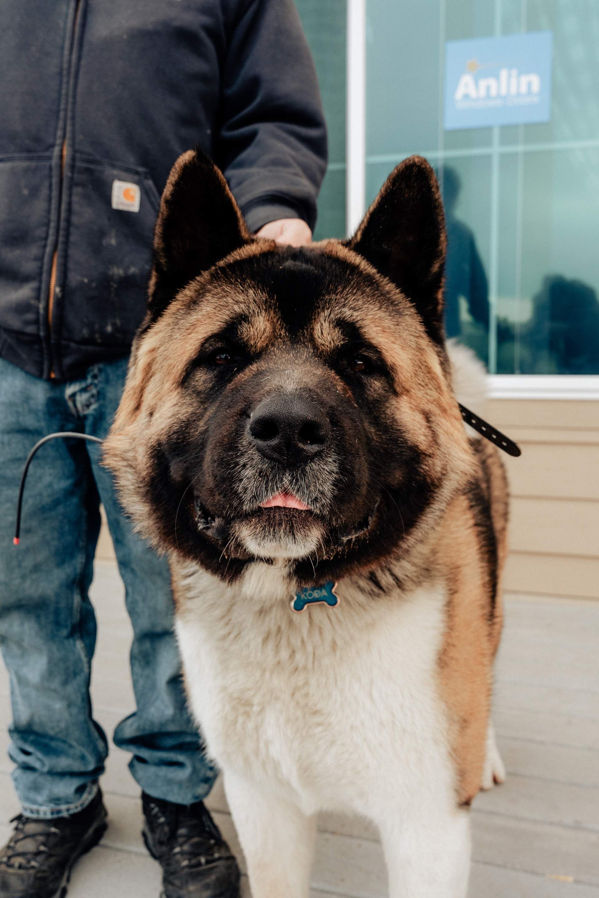 Time for a new look? Replace the Windows and Siding  by 1st choice windows and siding