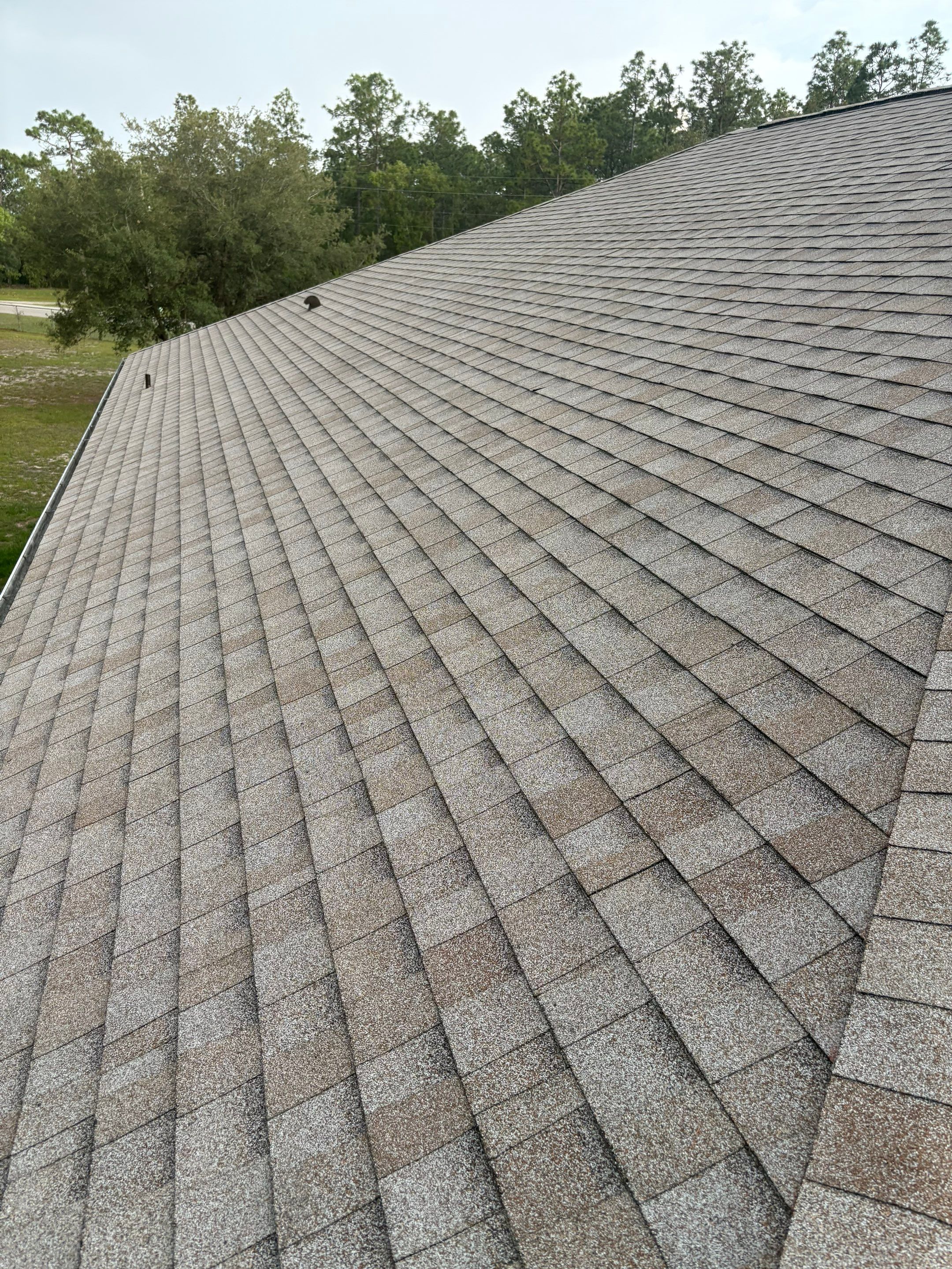 Shingle Reroof Replacement Ocala FL by Pinnacle Roofing Group