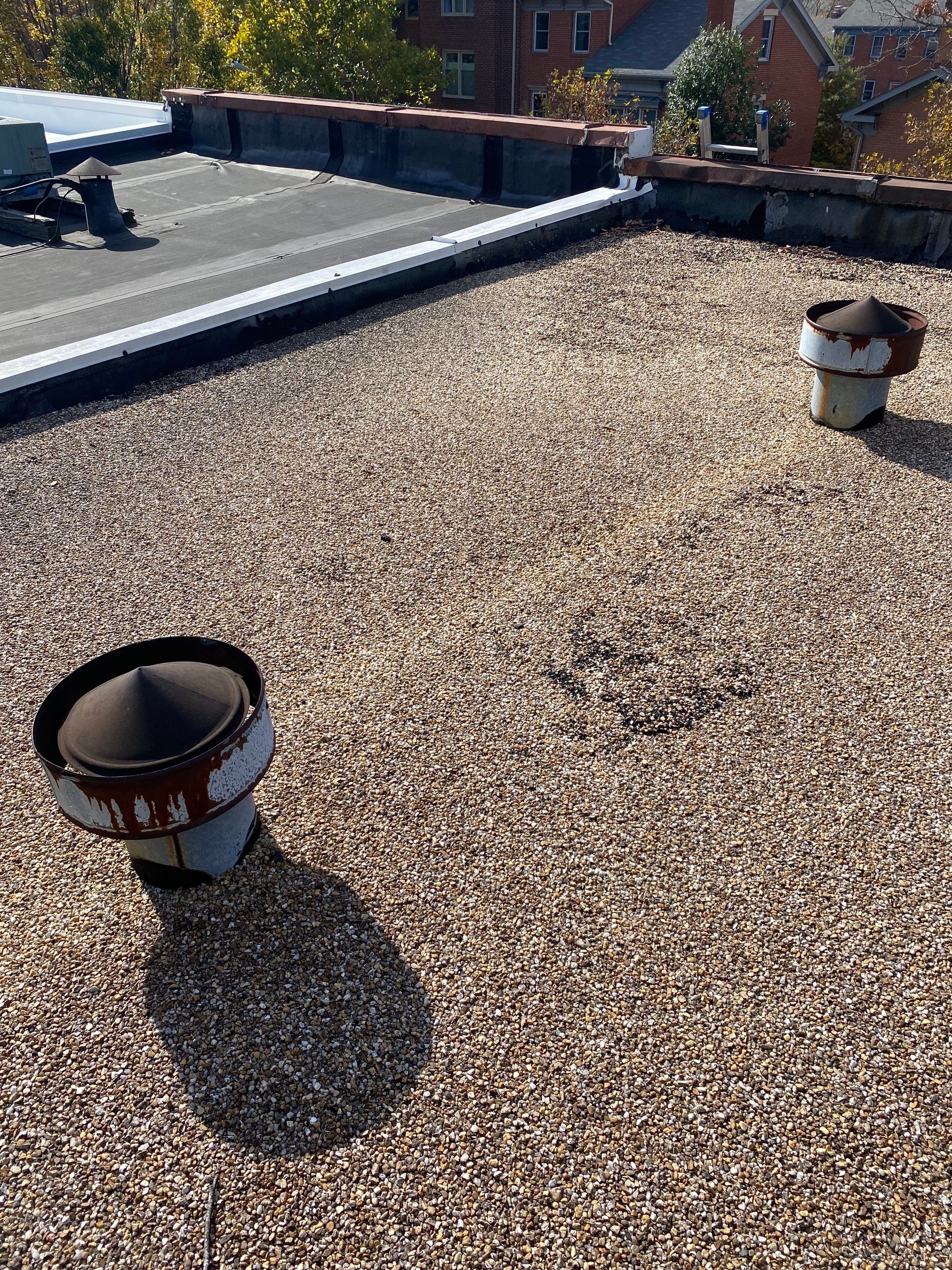 Alexandria: Residential Flat Roof Replacement with Mule Hide TPO Membrane by RM Banning, Inc.