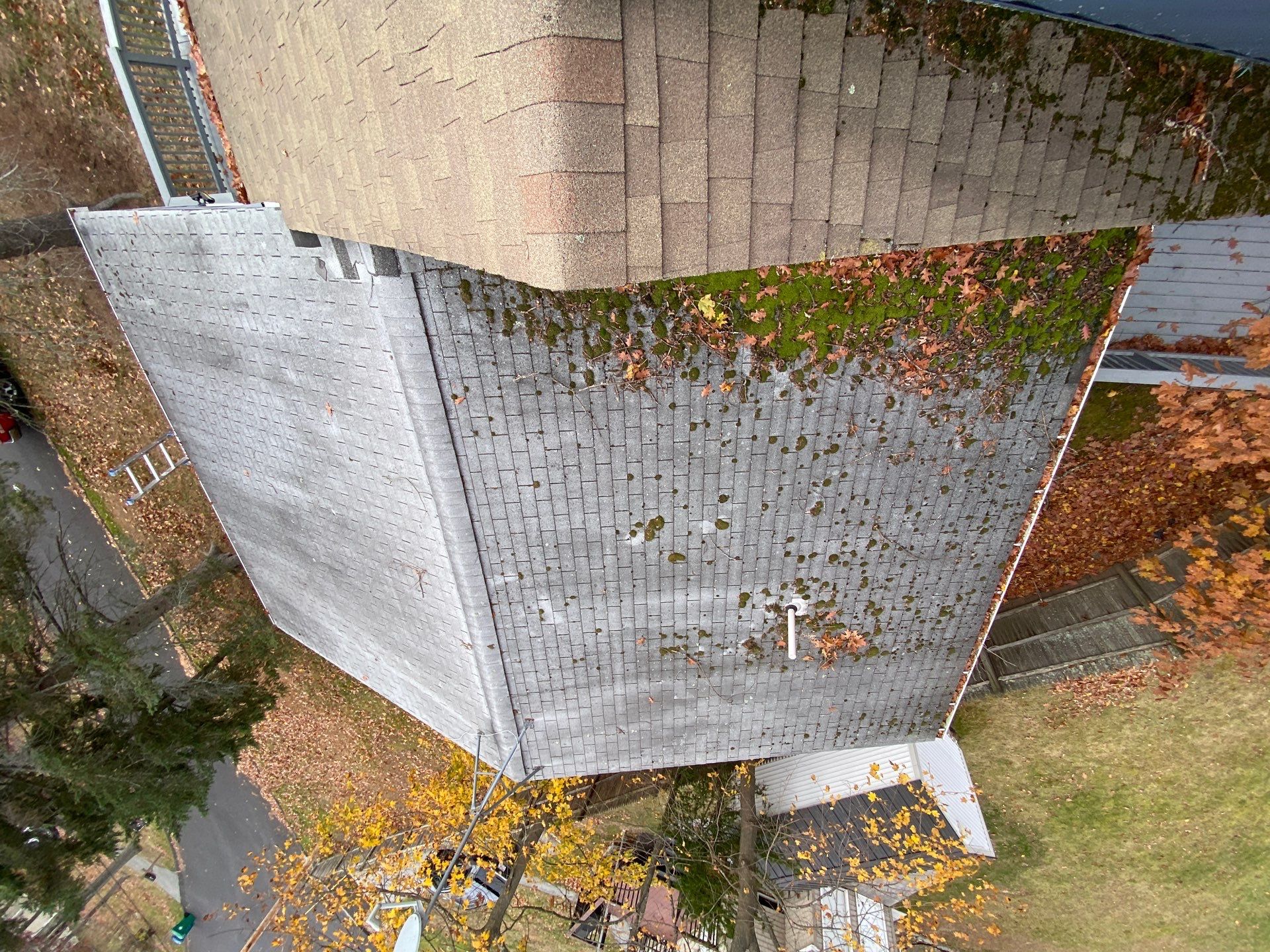 Roofing, Skylight & Chimney Project in Burlington by Mighty Dog Roofing of Greater Middlesex County