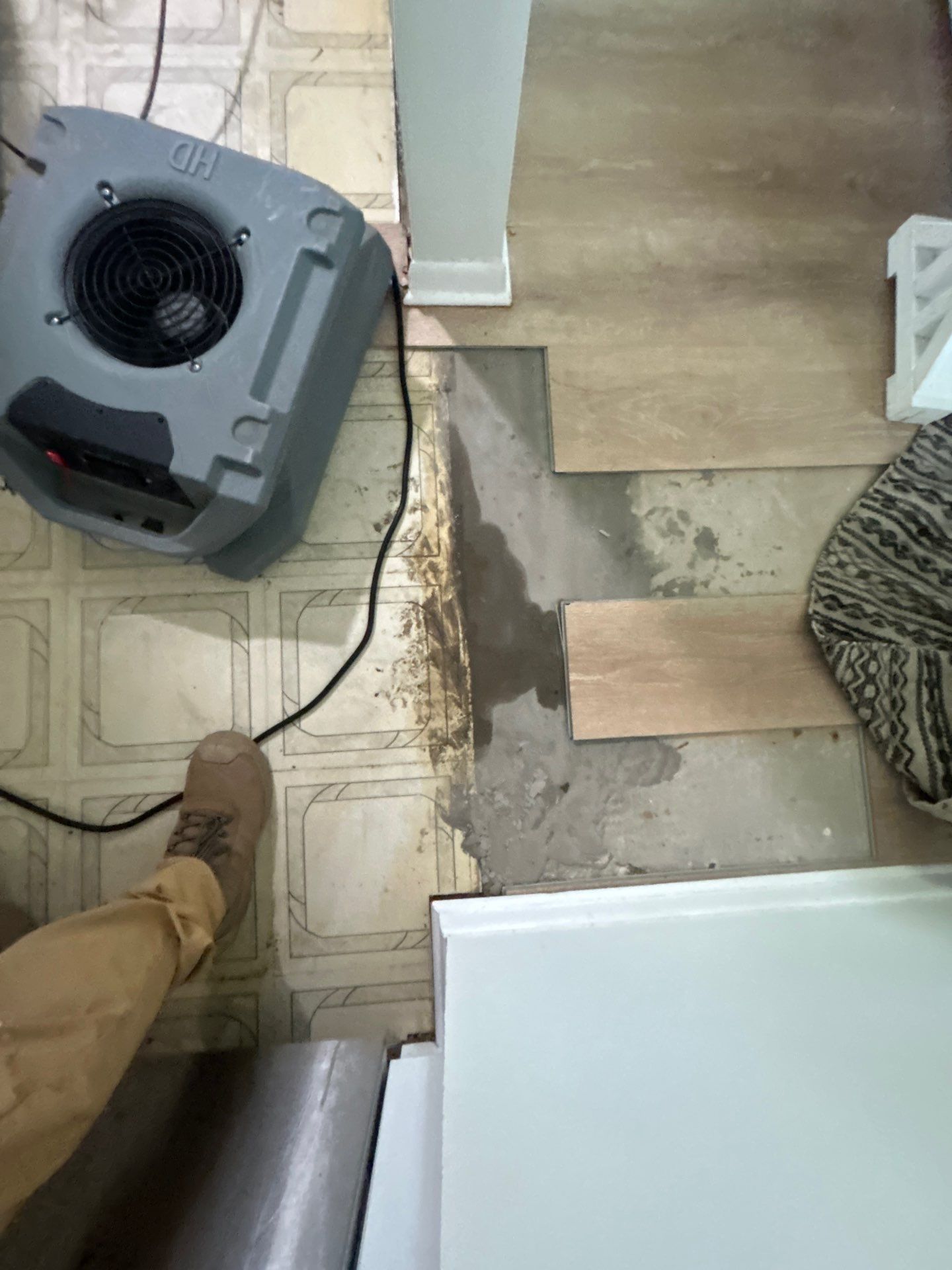 Water Damage Remediation Services by Ampm Restoration Services