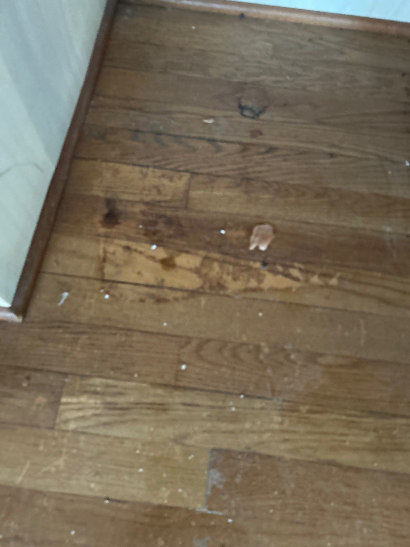 Hardwood Floor Refinish by Footprints Floors Kentucky