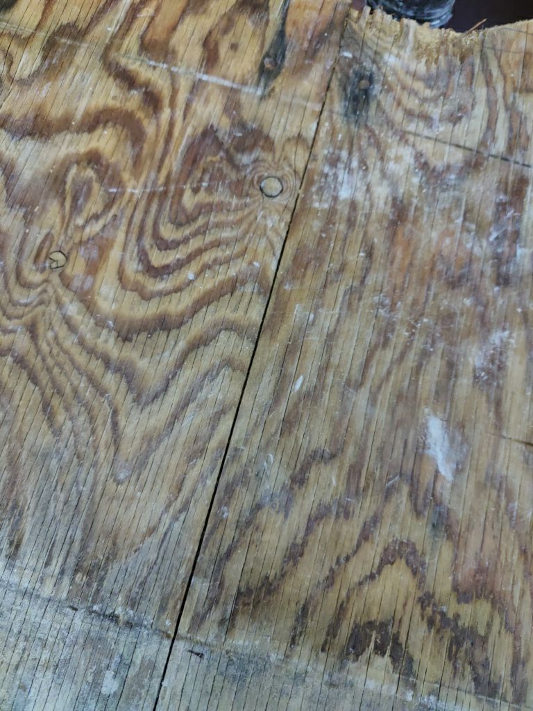 Mold Remediation  by Accountable Home Services