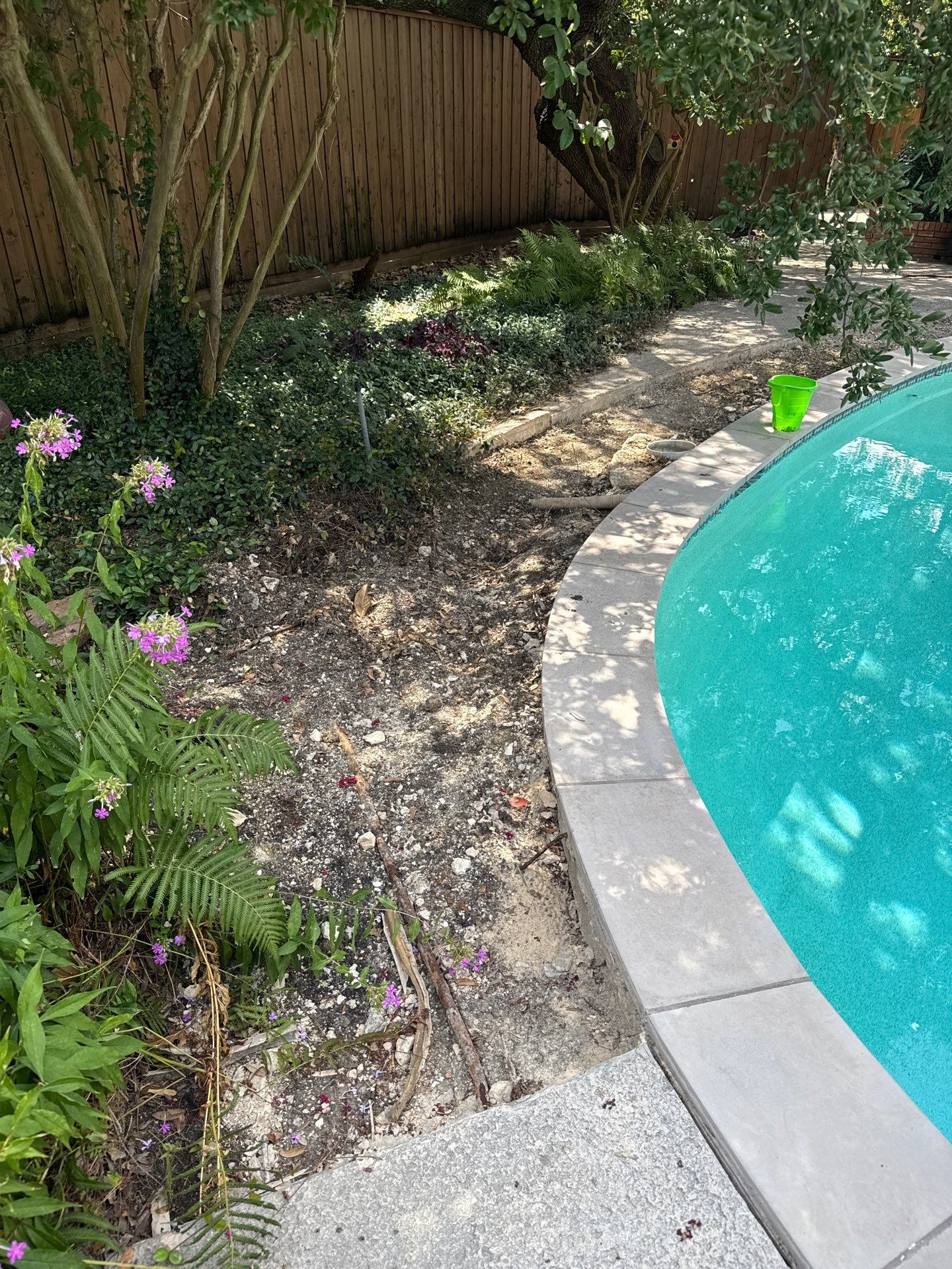 Project in Dallas by Turf Concepts