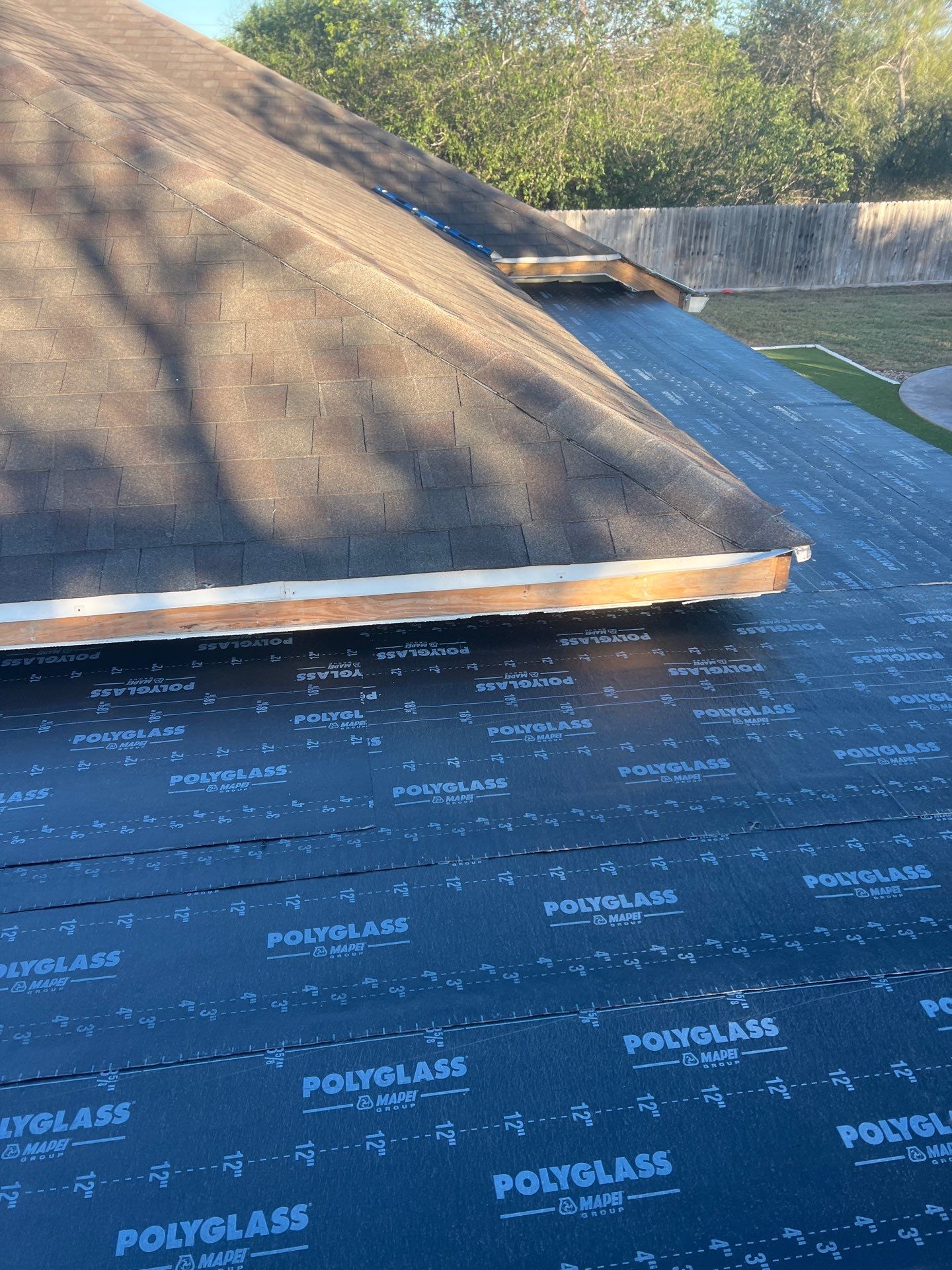 It Ain't Easy getting Shady  by Bayfront Roofing and Construction