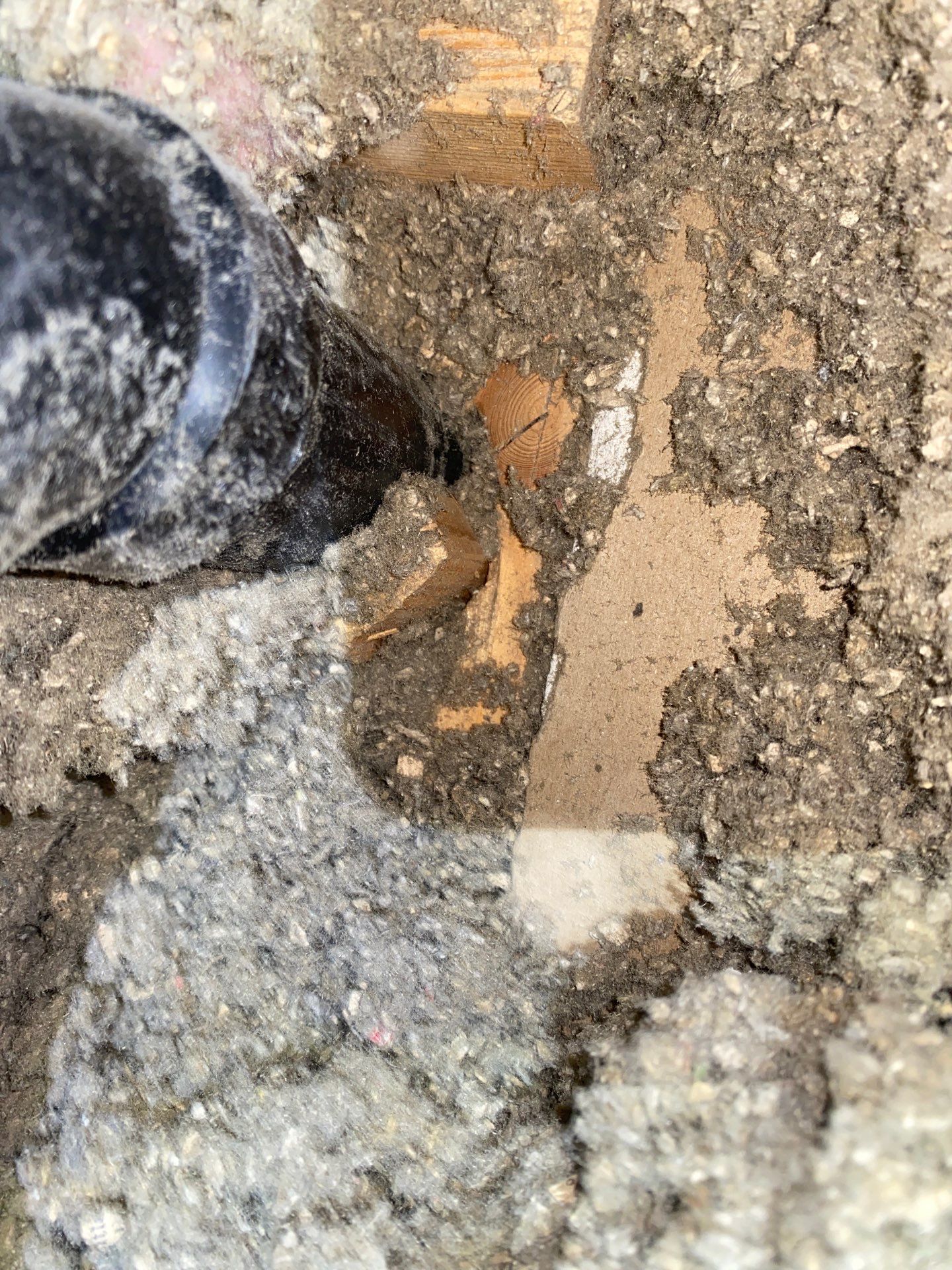 Seven Fields, PA – Attic Cleanup and Air Sealing for Better Comfort by Home Environment Solutions