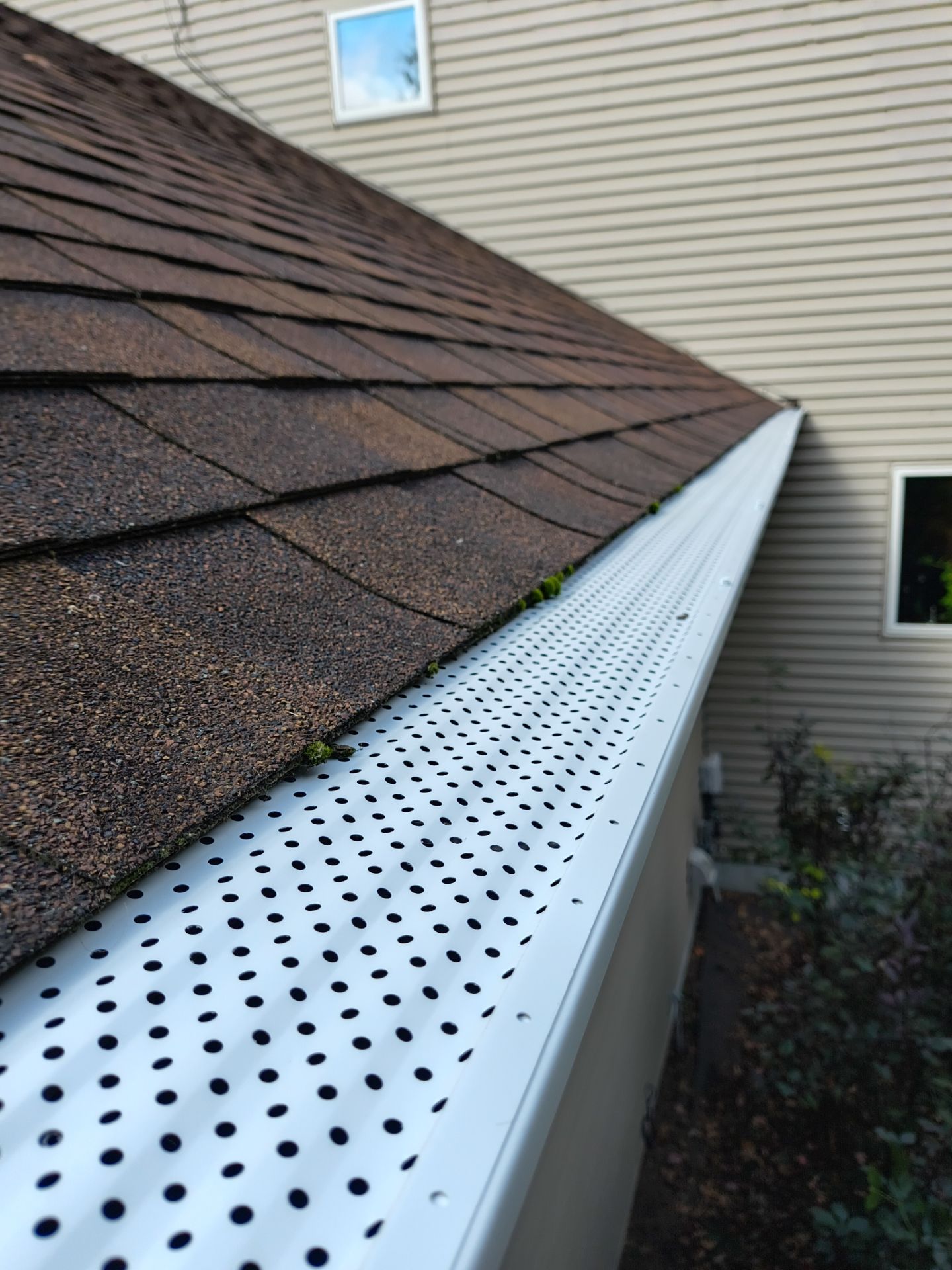 5" Gutters with Leaf Exterminator Gutter Covers – East Bethel, MN  by Next Level Seamless Gutters / Exteriors Inc.