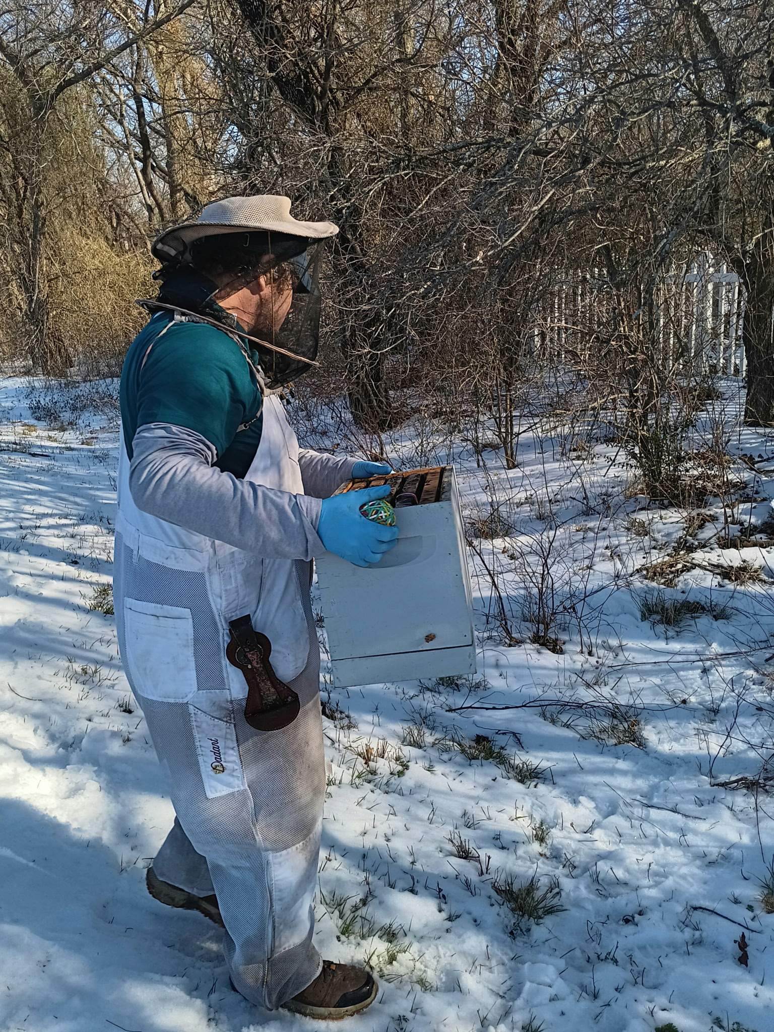 Winter Freeze Bees by Rockwall Honey Bee Company