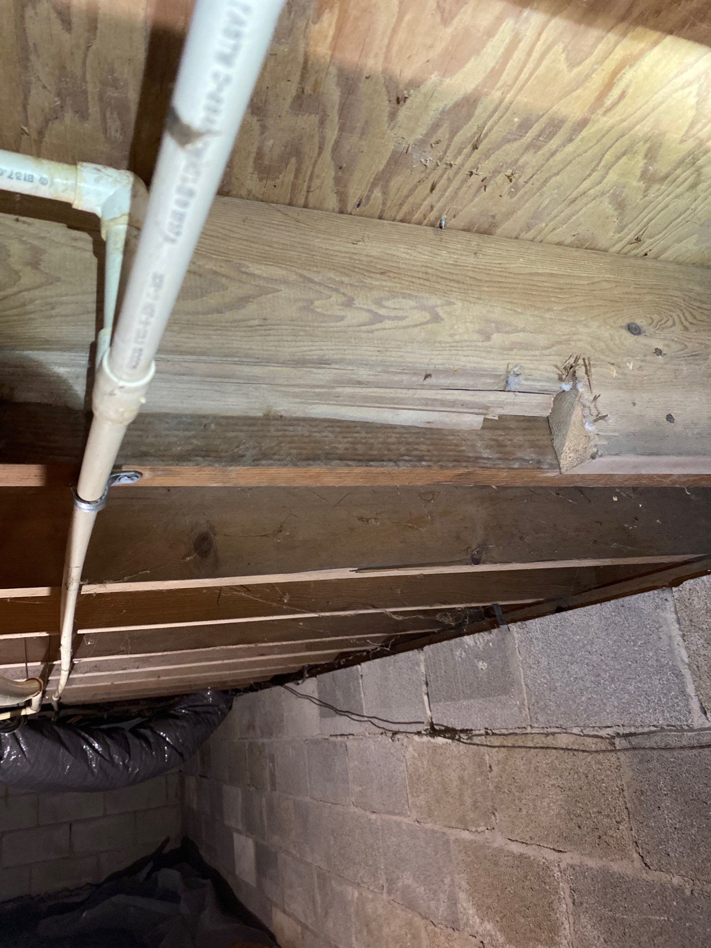 Structural Carpentry – Holland, Ohio by Toledo Basement Repair 
