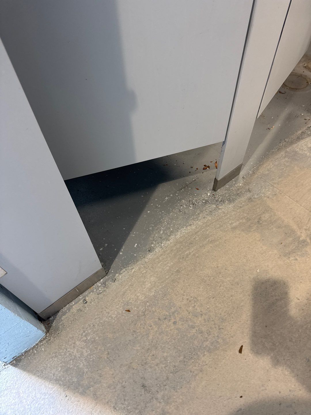 Muni Pool House Project in Crafton  by Floors in a Day, Inc