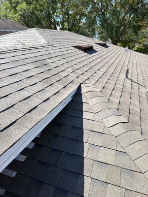 Shingle Reroof Replacement Ocoee FL