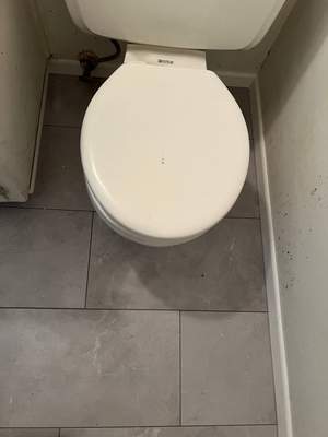 Flooring Restoration