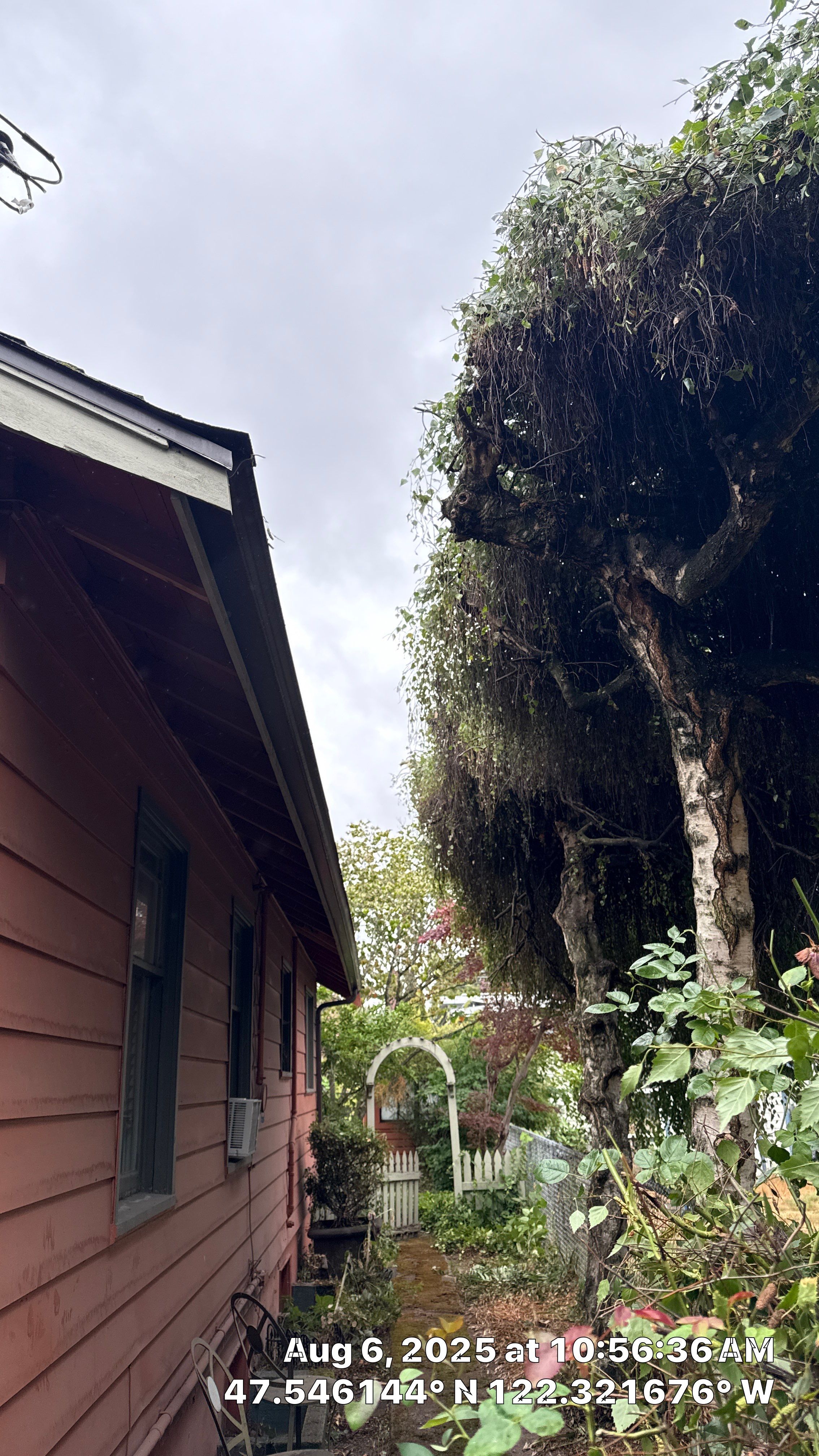 ποΈ Tree Trimming for Property Manager Success ποΈ by Sound Tree Care LLC