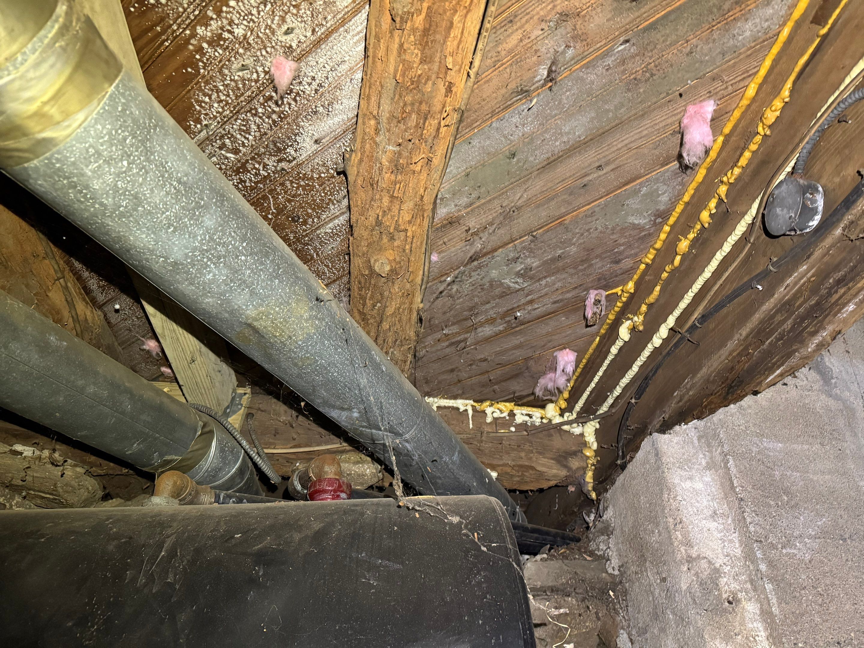 Mold Remediation (Basement) using Home Guarantee by Home Guarantee, LLC
