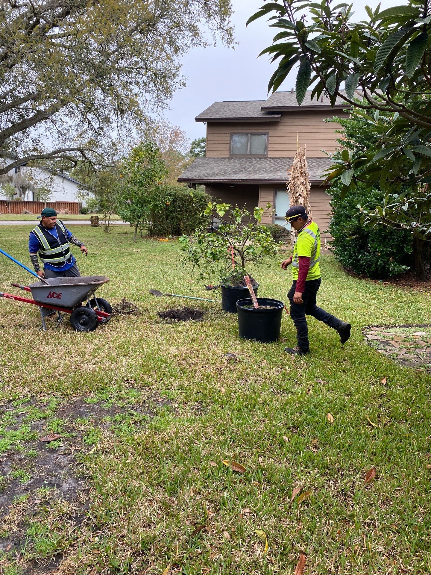 Deerwood Resident | Tree Install by ProGreen Services