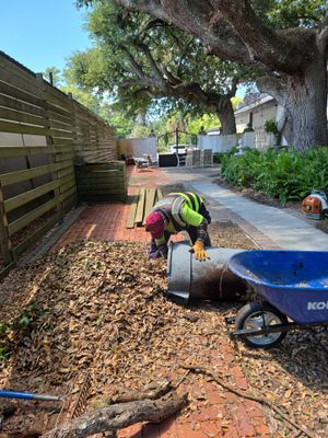Commercial Property | Clean Up & Tree Removal