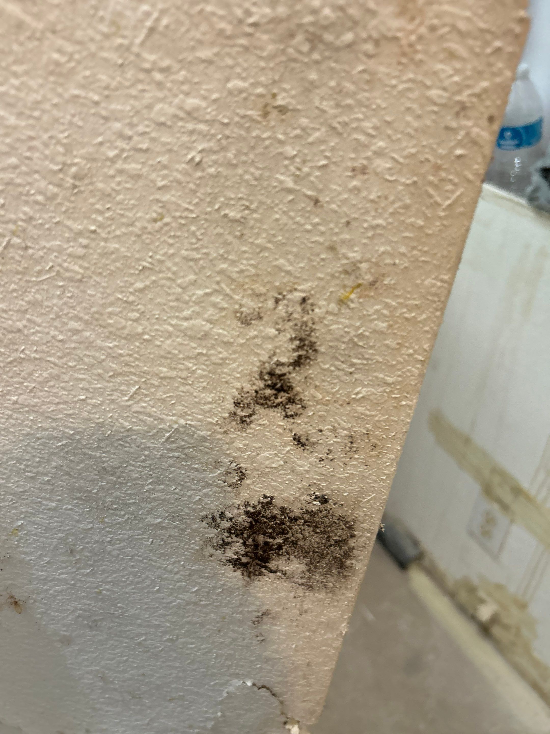 Project in Valrico by You Restorations LLC DBA YOU-Home